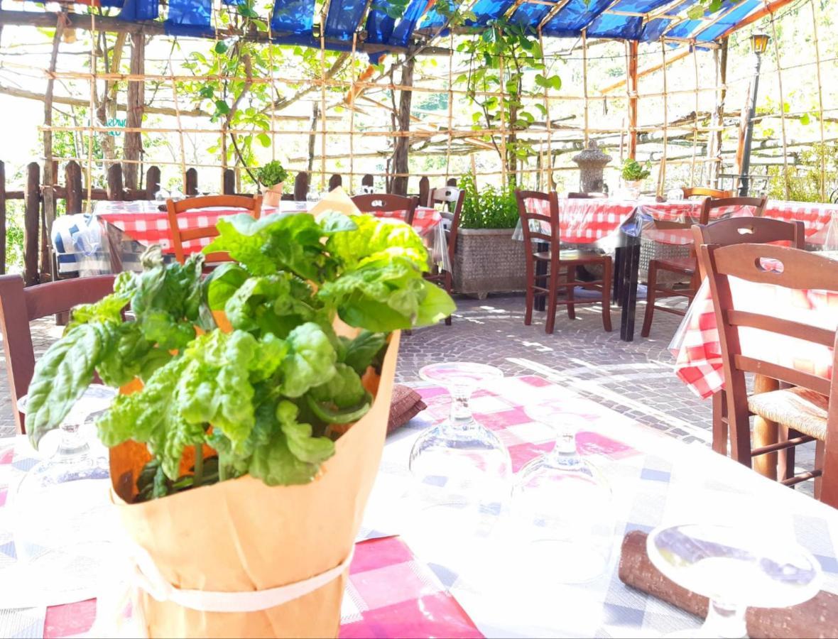 Agriturismo Il Pettirosso Agerola Exterior foto